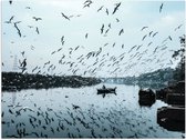 WallClassics - Poster Glanzend – Zwerm Vogels boven Rivier - 40x30 cm Foto op Posterpapier met Glanzende Afwerking