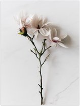 Poster Glanzend – Wit met Roze Bloemen op Witte Ondergrond - 30x40 cm Foto op Posterpapier met Glanzende Afwerking