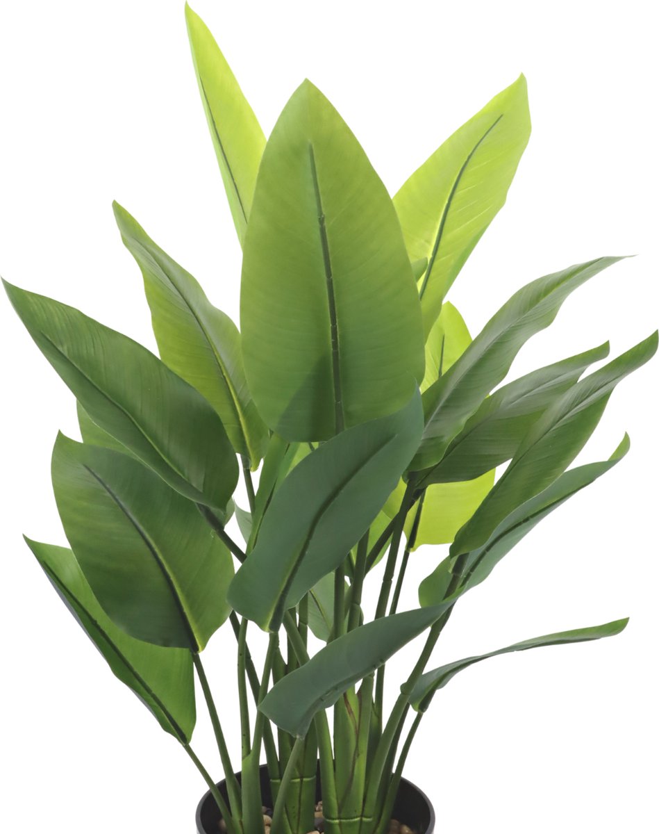 Kunst Strelitzia 180cm real touch | Online Woondecoratie NL