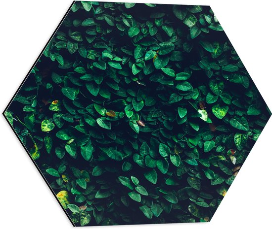 Dibond Hexagon - Muur van Groene Bladeren - 50x43.5 cm Foto op Hexagon (Met Ophangsysteem)