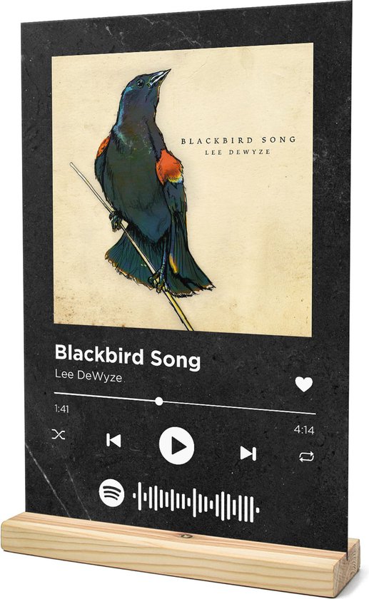 Songr Spotify Muziek Bordje - Blackbird Song - Lee DeWyze - 20x30 - Zwart -  Dibond... 