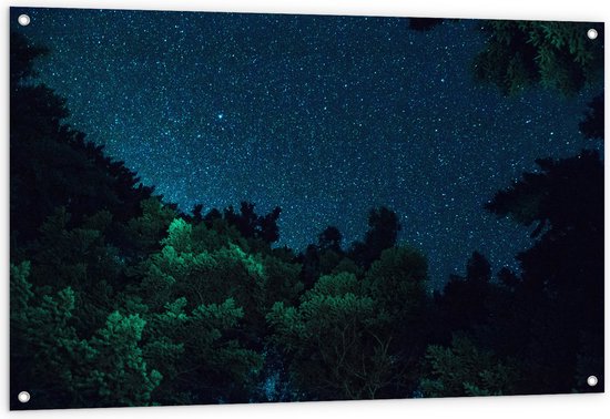 Tuinposter – Sterrenhemel boven het Bos - 120x80 cm Foto op Tuinposter (wanddecoratie voor buiten en binnen)