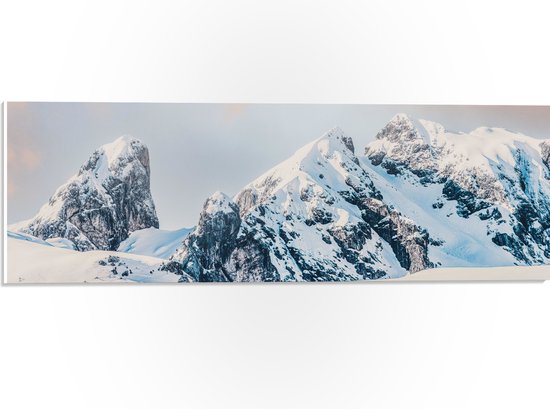 WallClassics - PVC Schuimplaat- Rotsen met Sneeuw - 60x20 cm Foto op PVC Schuimplaat