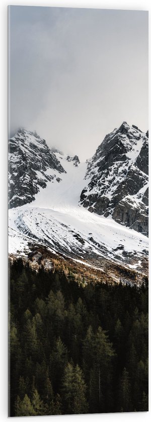 WallClassics - Acrylglas - Sneeuwbergen achter het Bos - 40x120 cm Foto op Acrylglas (Met Ophangsysteem)