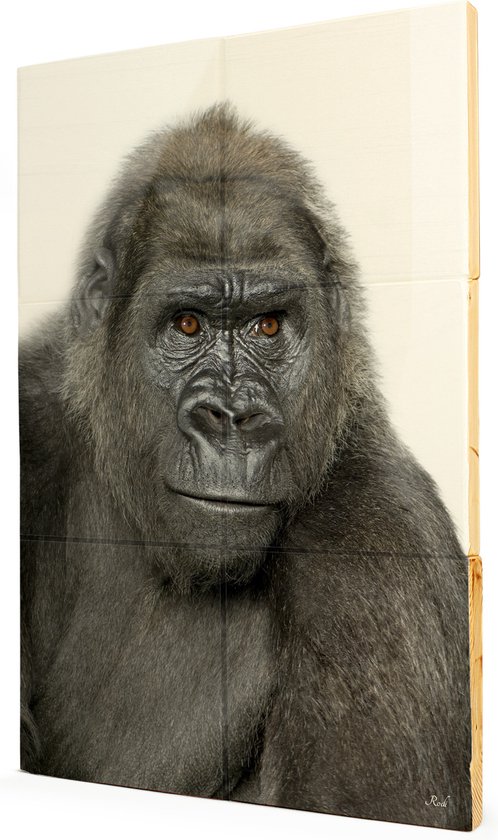 Gorilla portret - 2x3 Steigerhout Tegeltableau