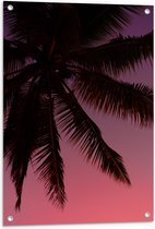 WallClassics - Tuinposter – Silhouette van een Palmboom bij Roze Lucht - 60x80 cm Foto op Tuinposter (wanddecoratie voor buiten en binnen)