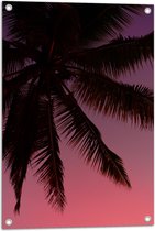 WallClassics - Tuinposter – Silhouette van een Palmboom bij Roze Lucht - 50x75 cm Foto op Tuinposter (wanddecoratie voor buiten en binnen)