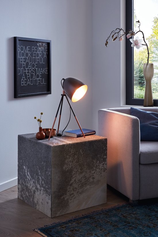 Eglo Carlton Binnenverlichting kopen? ✔️ Vergelijk de beste aanbiedingen