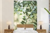 Behang - Fotobehang De takken van een olijfboom - Breedte 195 cm x hoogte 300 cm