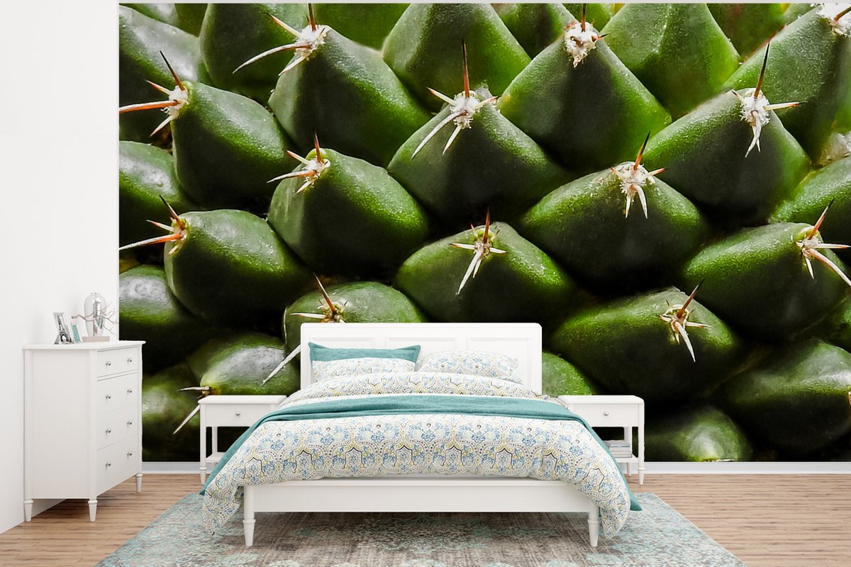 Behang - Fotobehang Cactuspatronen - Breedte 320 cm x hoogte 240 cm