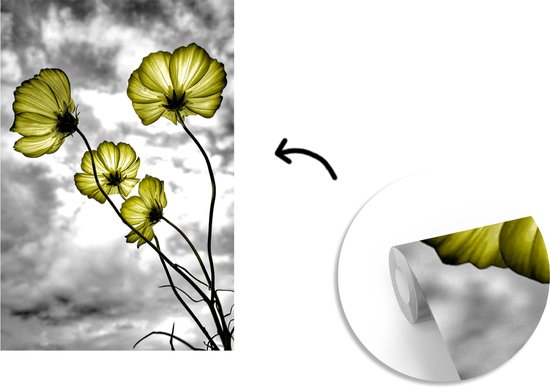 Papier Peint - Papier Papier peint photo Fleurs - Zwart - Wit - Jaune - Largeur 170 cm x Hauteur 260 cm