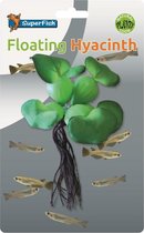 SUPERFISH EASY PLANTS FLOATING HYACINTH