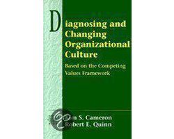 Omslag van Diagnosing and Changing Organizational Culture