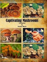 Captivating Mushrooms