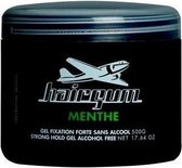 Hairgum Fixing Gel Menthe 500gr