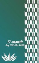17-Month Aug 2019-Dec 2020