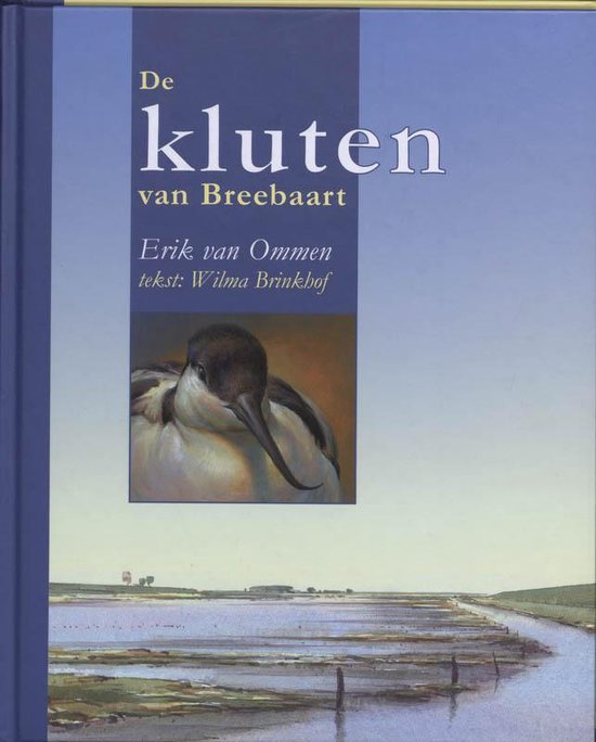 Livre "De kluten van Breebaart" avec sur la couverture un tableau d'un chevalier arlequin et un paysage de polder.