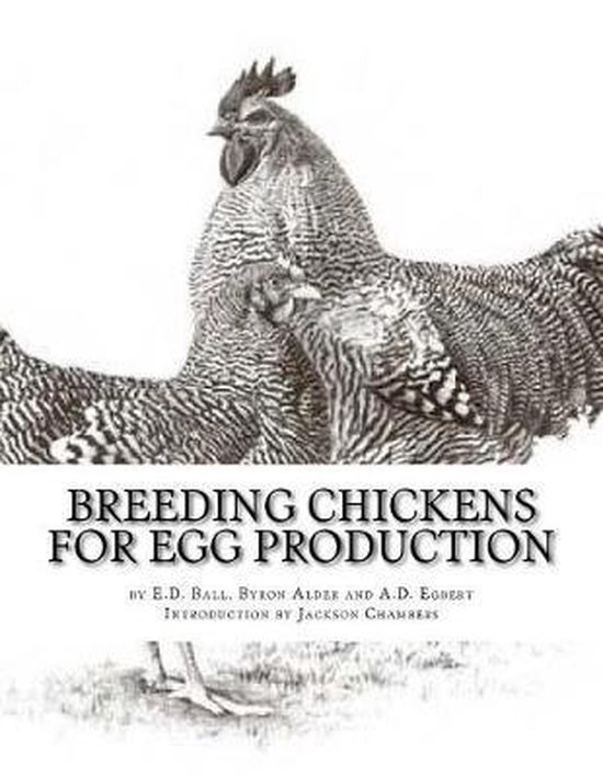 Breeding Chickens For Egg Production - cover