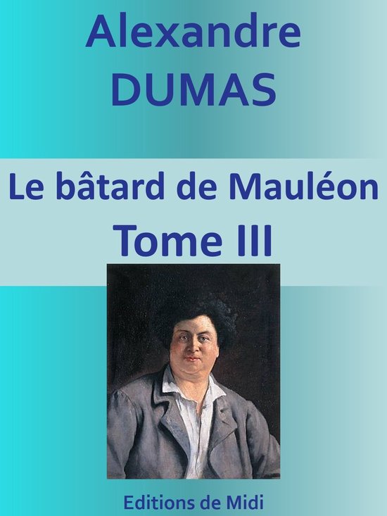 Le bâtard de Mauléon - cover