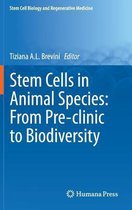 Stem Cells in Animal Species From Pre clinic to Biodiversity