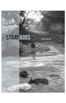 Stray Gods