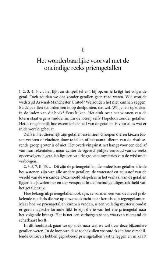 Pagina 1 met de titel 'Het wonderbaarlijke voorval met de oneindige reeks priemgetallen'.