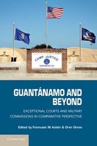 Guantanamo and Beyond