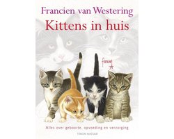 Kittens In Huis