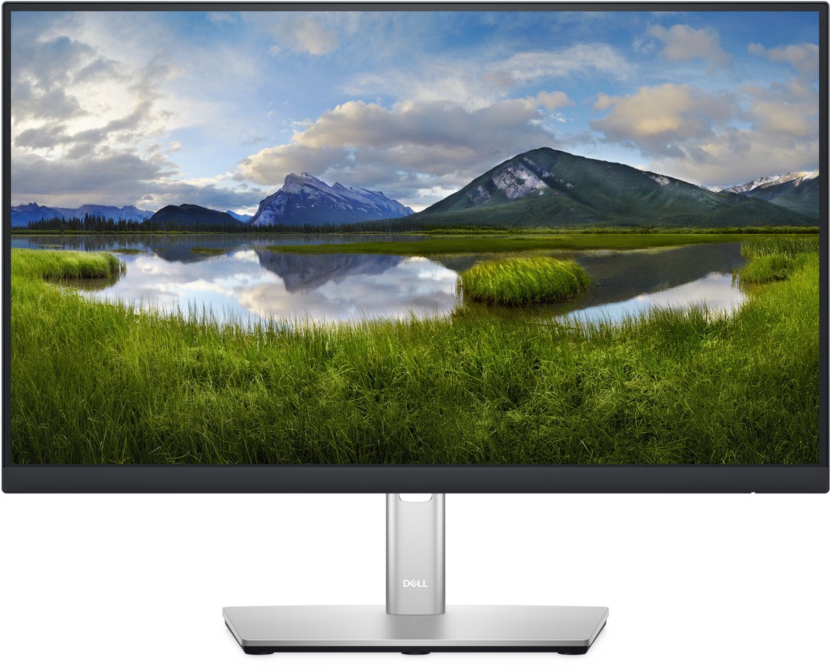 DELL 22" monitor - P2222H