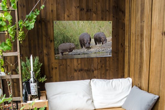 Posters de jardin extérieur Hippopotames - Water - Afrique du Sud - 90x60 cm - Toile jardin - Affiche extérieure