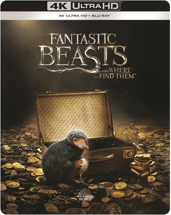 Fantastic Beasts And Where To Find Them (4K Ultra HD Blu-ray) (Steelbook)