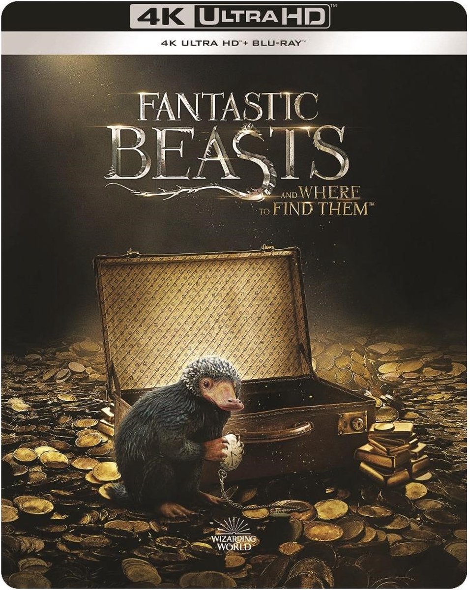 Fantastic Beasts And Where To Find Them (4K Ultra HD Blu-ray) (Steelbook)-