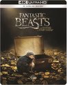 Fantastic Beasts And Where To Find Them (4K Ultra HD Blu-ray)