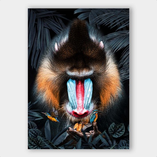 Poster Mandrill Kingfisher - Dibond - 100x140 cm  | Wanddecoratie - Interieur - Art - Wonen - Schilderij - Kunst