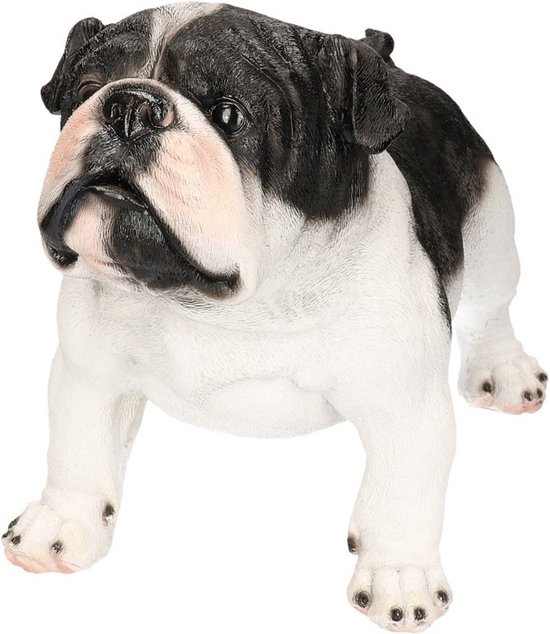 Foto: Dierenbeelden staande engelse bulldog decoratie beeldje engelse bulldog zwart wit 41 cm