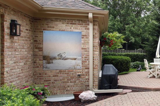 Affiche de jardin hibou des neiges toile en vrac 100x100 cm - Toile de jardin / Toile d'extérieur / Peintures pour l'extérieur (décoration de jardin)