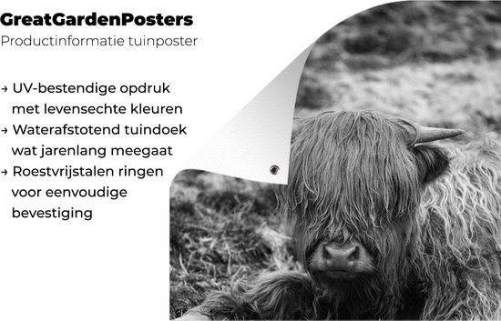 Décoration de jardin Highlander écossais au repos - noir et blanc - 40x60 cm - Poster de jardin