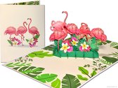 Cartes pop-up Popcards – Flamingos Friendship Club Collaborate Félicitation Holiday Birthday carte pop-up Carte de vœux 3D