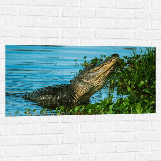 WallClassics - Muursticker - Krokodil aan de Rand van een Rivier - 100x50 cm Foto op Muursticker