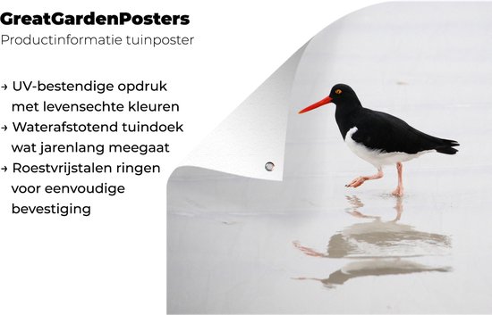 Tuinposter 40x30 cm - Tuindecoratie Scholekster weerspiegelt in het water - Poster voor in de tuin - Buiten decoratie - Schutting tuinschilderij - Tuindoek muurdecoratie - Wanddecoratie balkondoek
