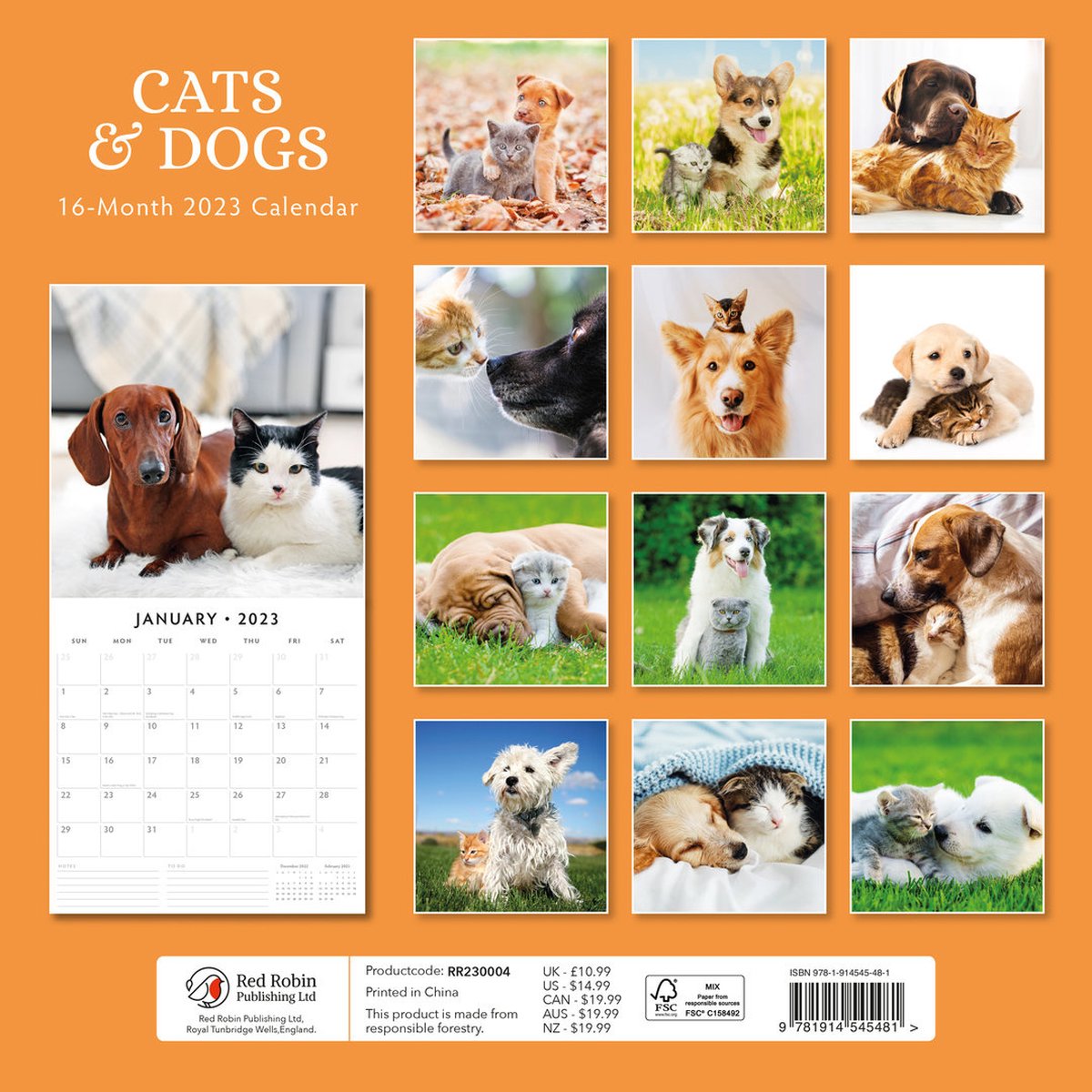 Cats and Dogs Kalender 2023  bol.com
