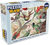 Puzzel Kolibrie - Vintage - Ernst Haeckel - Vogel - Kunst - Natuur - Legpuzzel - Puzzel 1000 stukjes volwassenen