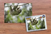 Puzzle Un paresseux est suspendu dans les arbres - Puzzle - Puzzle 500 pièces - Sinterklaas cadeaux - Sinterklaas for big kids