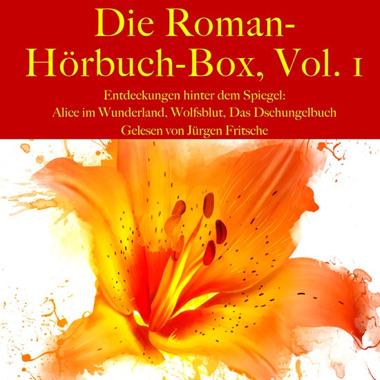 Die Roman-Hörbuch-Box, Vol. 1: Entdeckungen hinter dem Spie ... - cover