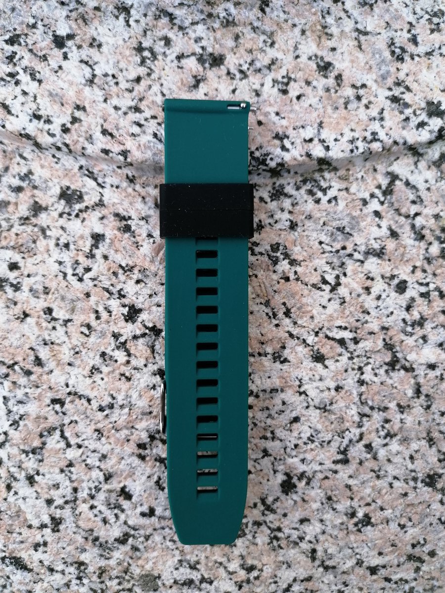 Regal horloge met zilverkleurige band | -NL
