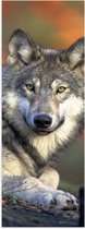 WallClassics - Poster Glanzend – Wolf in het Bos - 30x90 cm Foto op Posterpapier met Glanzende Afwerking