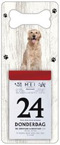 Scheurkalender 2024 Hond: Golden Retriever