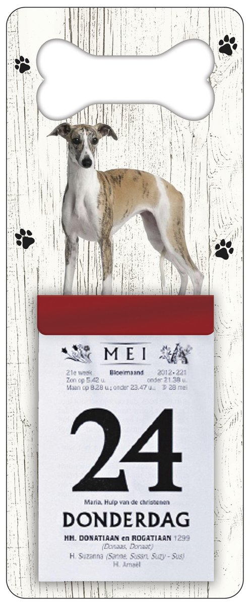 Scheurkalender 2026 Hond: Greyhound