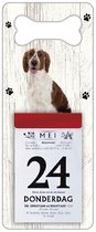 Scheurkalender 2024 Hond: Welsh Springer Spaniel