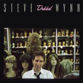 Steve Wynn - Dekad:Rare & Unreleased Recordings 1995-2005 (LP)